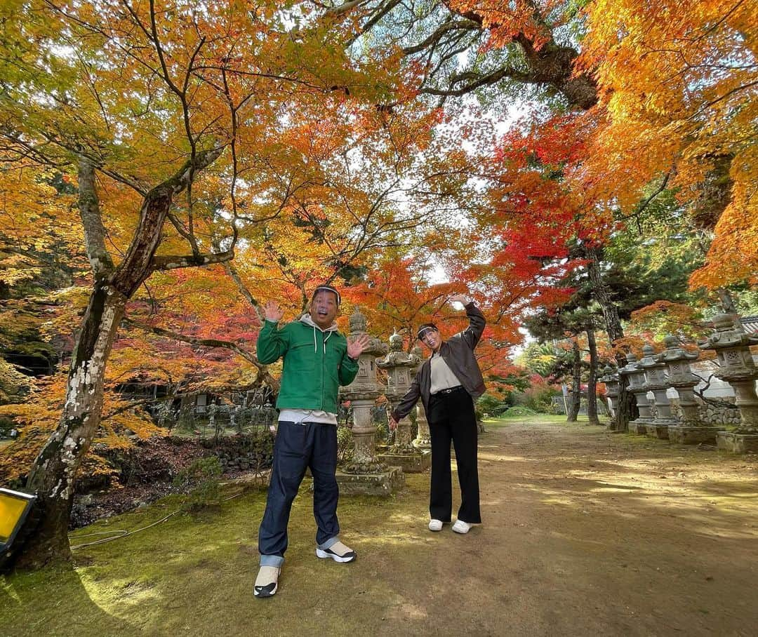 ボールボーイ佐竹さんのインスタグラム写真 - (ボールボーイ佐竹Instagram)「今日の満点ママもっとGOTOひろしまは『魅力満載！空、海、山のイイトコロドリ三拍子！三原へGO！』です！ いやー！美味しいスイーツにカレーに紅葉まで！！🙌🏼🙌🏼 新しい相棒も登場しますよ！ ぜひご覧下さい！！ #満点ママ #三原 #ボールボーイ佐竹」11月19日 9時33分 - ballboysatake