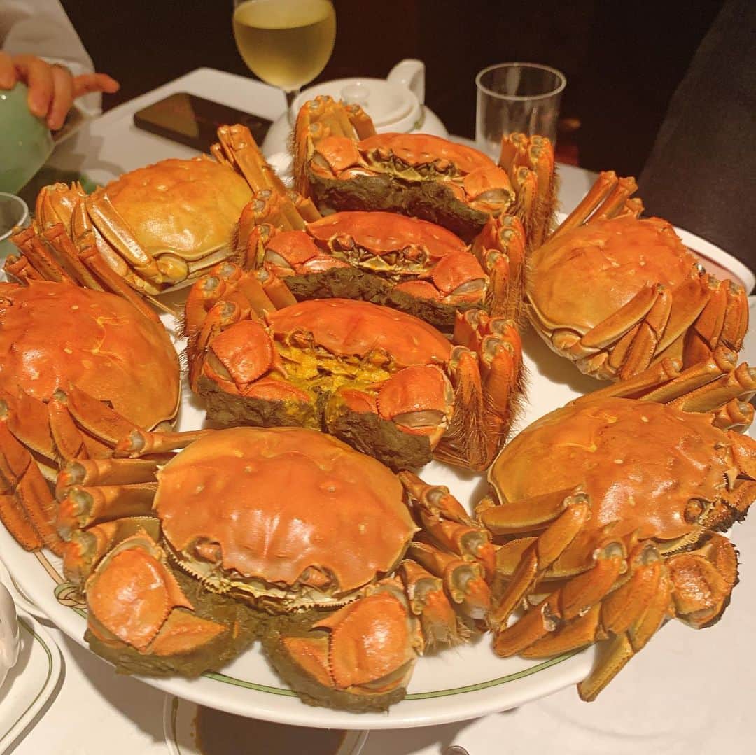 和泉佳子さんのインスタグラム写真 - (和泉佳子Instagram)「大好物の上海蟹を食べに中国飯店へ✨ . みんなで雄雌を食べ比べ😋 やっぱり、私は雄が好きだなぁ〜🥰などと、旬の美味しいものをいただくって、本当に幸せです♥️ . 上海蟹ももちろん美味しかったのですが、さらに贅沢にも、未奈ちゃんオススメの、フカヒレの壺入り煮込みスープをオーダー✨ . 蓋を開けると、フカヒレがた〜っぶり♥️ これは幸せ以外の何物でもない✨笑 . 北京ダックや、黒酢の酢豚など、もちろん定番の大好物もいただき、口福な夜でした😋 . 先日の對馬につづき、今回は、王道の中国飯店で上海蟹🦀を堪能し、近々、あの予約困難な某高級中華でも上海蟹コース🦀を予約済みです😋 . 今年はあと何回上海蟹を食べられるかな❓笑 . 相変わらず、食いしん坊な私なのでした😋 . . . #和泉佳子　#中国飯店　#上海蟹　#口福」11月19日 9時40分 - yoshiko_izumi