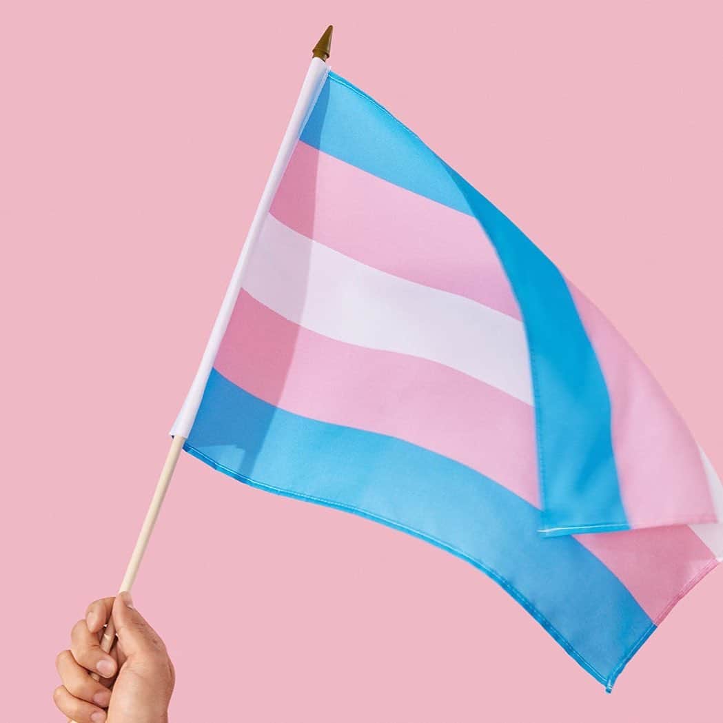 ベス・ベアーズのインスタグラム：「The trans experience is understandably often looked at through the daily lens of trauma and struggle.This week (and I hope always) we celebrate the JOY that comes with valuing your true and authentic self!  Cultural Commentator and Civil Rights Activist, @ashleemariepreston , and I want to share with you an uplifting campaign #TransTakeOver for #transawarenessweek. I am honored that @alionsfear will be taking over my account tomorrow! He co-founded a 100% volunteer Trans Non Profit @PointofPrideorge and has raised $199,275+ in Trans Affirming Surgeries as well as served over 8,900 Trans people in over 80 countries with their other programs and services. Beyond honored for you to get to hear from this beautiful soul tomorrow !」