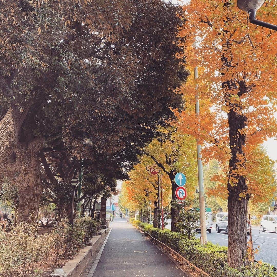 山内圭哉のインスタグラム：「おはよう御座います。 昨日はちょと時間あったので、散歩とかしました。 トンネルみたいな道でした。」
