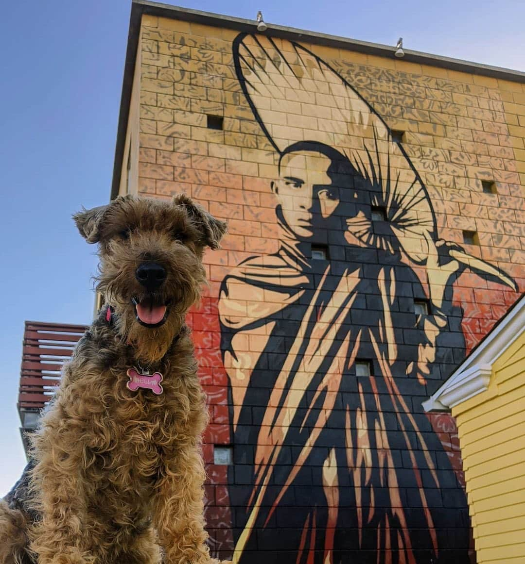 Shepard Faireyさんのインスタグラム写真 - (Shepard FaireyInstagram)「Thank you @bella.the.photo.bomber for this photo of the Burmese Monk, which I painted in San Diego back in 2010! Happy to see it up to this day in good condition despite Covid and the tumultuous 2020. Be careful out on them ruff streets y'all! -Shepard  #repost from @bella.the.photo.bomber #obey #obeygiant #shepardfairey #sandiego」11月19日 10時15分 - obeygiant