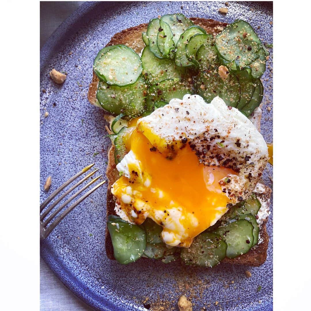 journaleatripのインスタグラム：「shiomi bread nagasaki sa cucumber  塩見くんのパン、美味しい、 長崎さんの胡瓜、美味しい。 美味しい、美味しいで凄く嬉しい。  塩見くんが一年かけて準備したパン屋さんはカンパーニュと食パンだけとか。 今週は毎朝パンだ。 焼き立て＝美味しい という考えは飛んでいってしまったなぁ。 いつのころか。  #長崎さん胡瓜#配達人は真鍋くん #塩見パン」