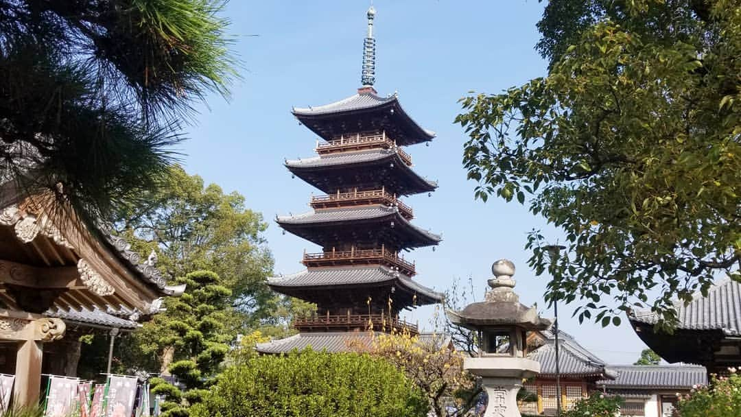 前園真聖さんのインスタグラム写真 - (前園真聖Instagram)「本山寺の五重塔😊 #本山寺 #五重塔 #香川県」11月19日 10時24分 - maezono_masakiyo