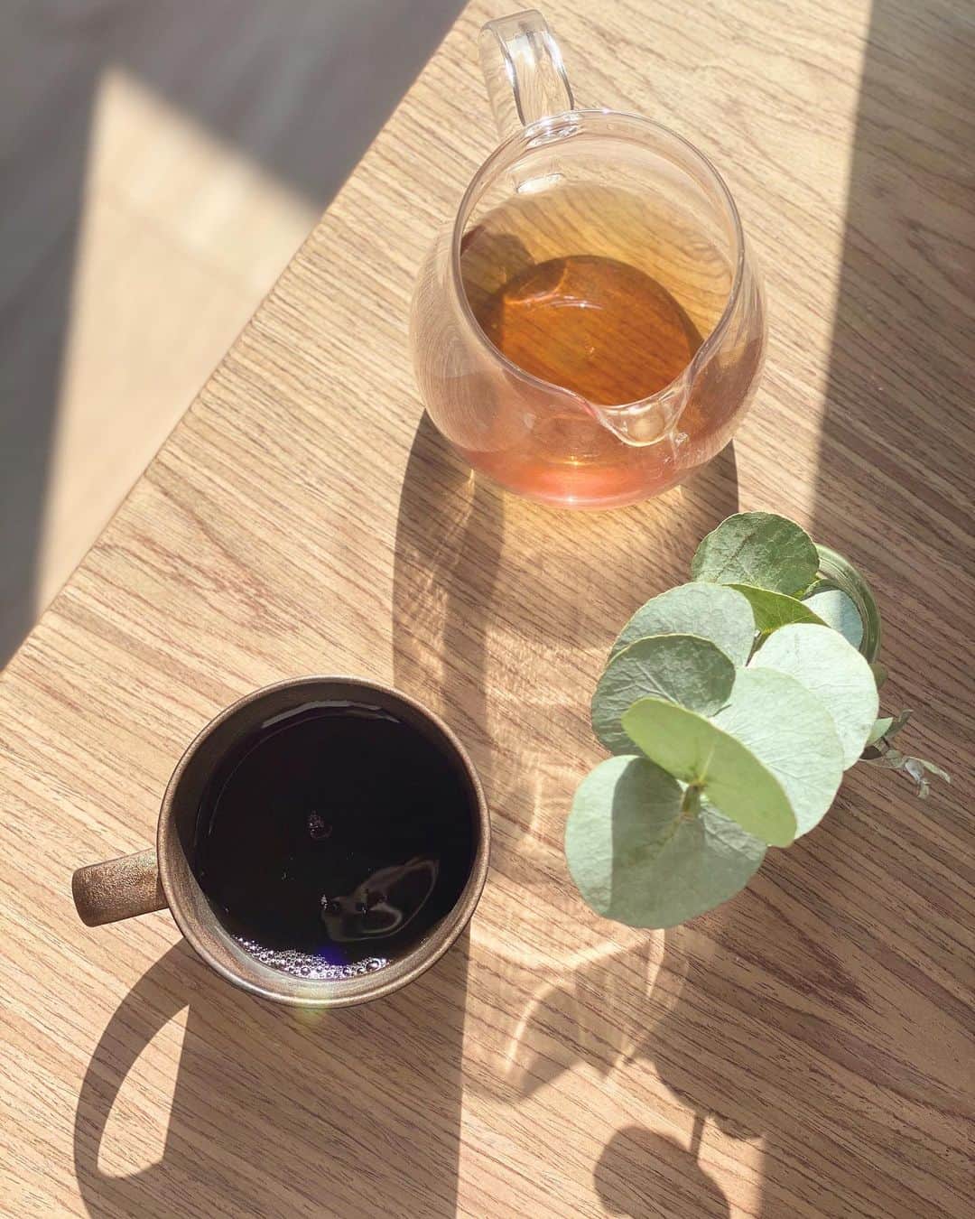 のインスタグラム：「海外の人のインスタ見てたら、﻿ 朝の光を浴びた朝食を﻿ ﻿ sun-kissed と表現してて、﻿ 太陽を浴びたとか、日当たりの良いって﻿ ことだけど、﻿ ﻿ 「太陽にキスされた」﻿ って素敵だなって思って。﻿ ﻿ うちのテーブルの上のお茶も﻿ 太陽にキスされてたので﻿ 嬉しくなって撮りました。﻿ ﻿ ちなみにオレンジジュースでおなじみの﻿ 「サンキスト」は﻿ ﻿ 「Sun Kissed Fruit」﻿ （太陽がフルーツにキスをした）﻿ から来てるそう〜☕️ ﻿ #sunkissed #goodmorning #朝時間﻿ #お花のある暮らし #ユーカリ #朝の風景  #goodmorningtea #紅茶のある生活」