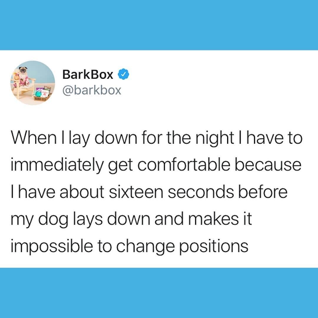 BarkBoxさんのインスタグラム写真 - (BarkBoxInstagram)「Looks like it’s the fetal position for me tonight 😫」11月19日 10時45分 - barkbox