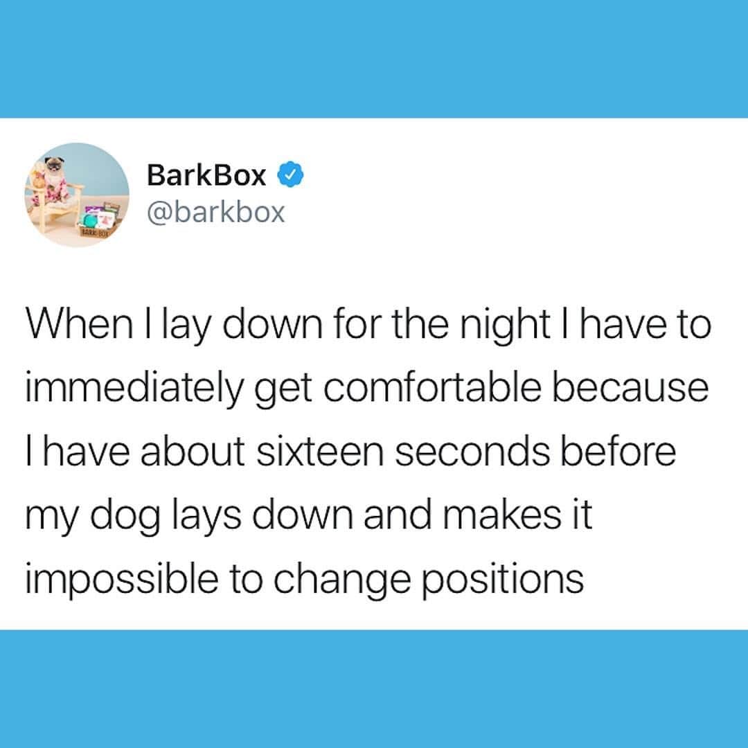 BarkBoxのインスタグラム：「Looks like it’s the fetal position for me tonight 😫」