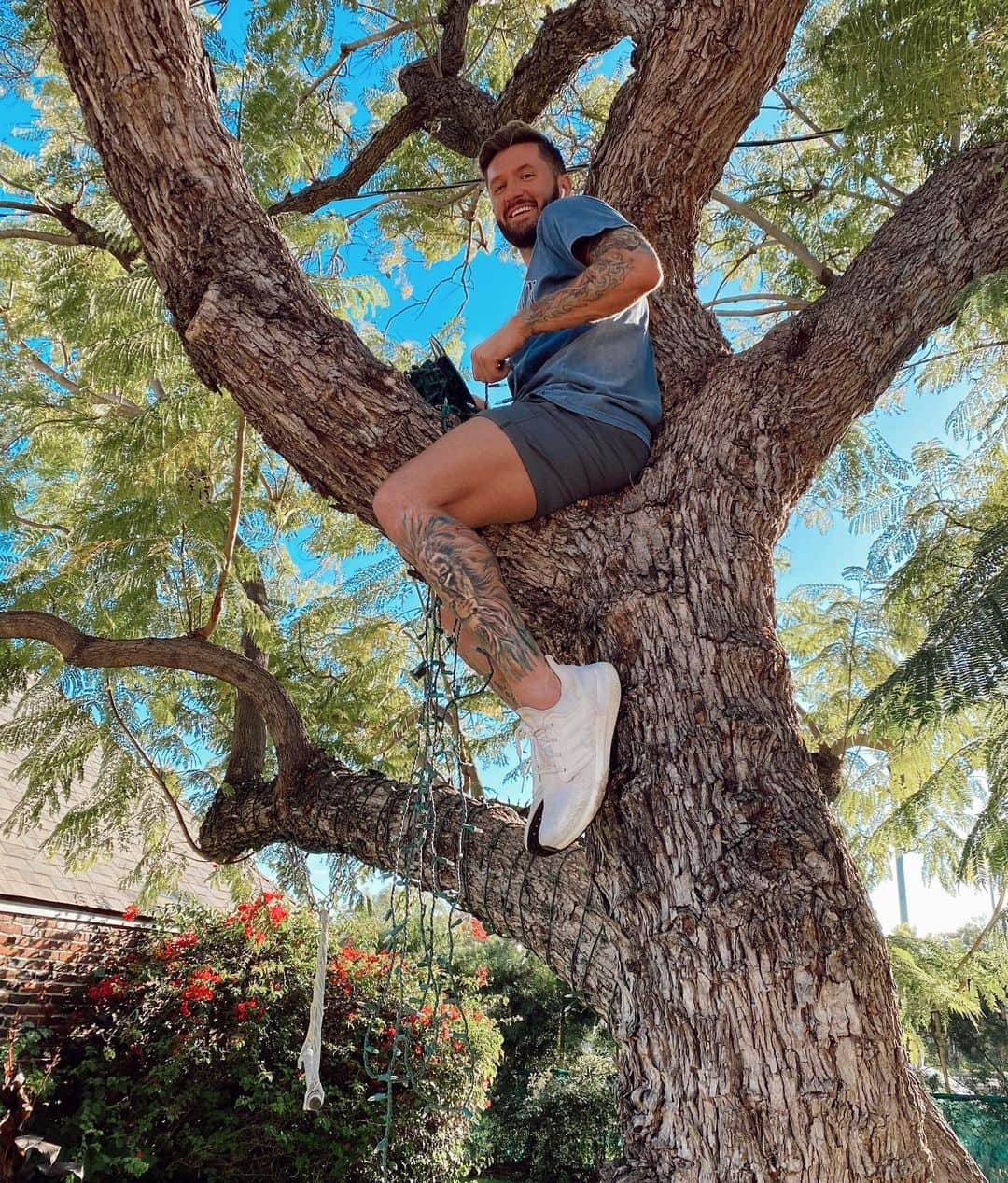 トラビス・ウォールさんのインスタグラム写真 - (トラビス・ウォールInstagram)「Started putting up Christmas lights. Just call me Koala Harris!」11月19日 11時05分 - traviswall