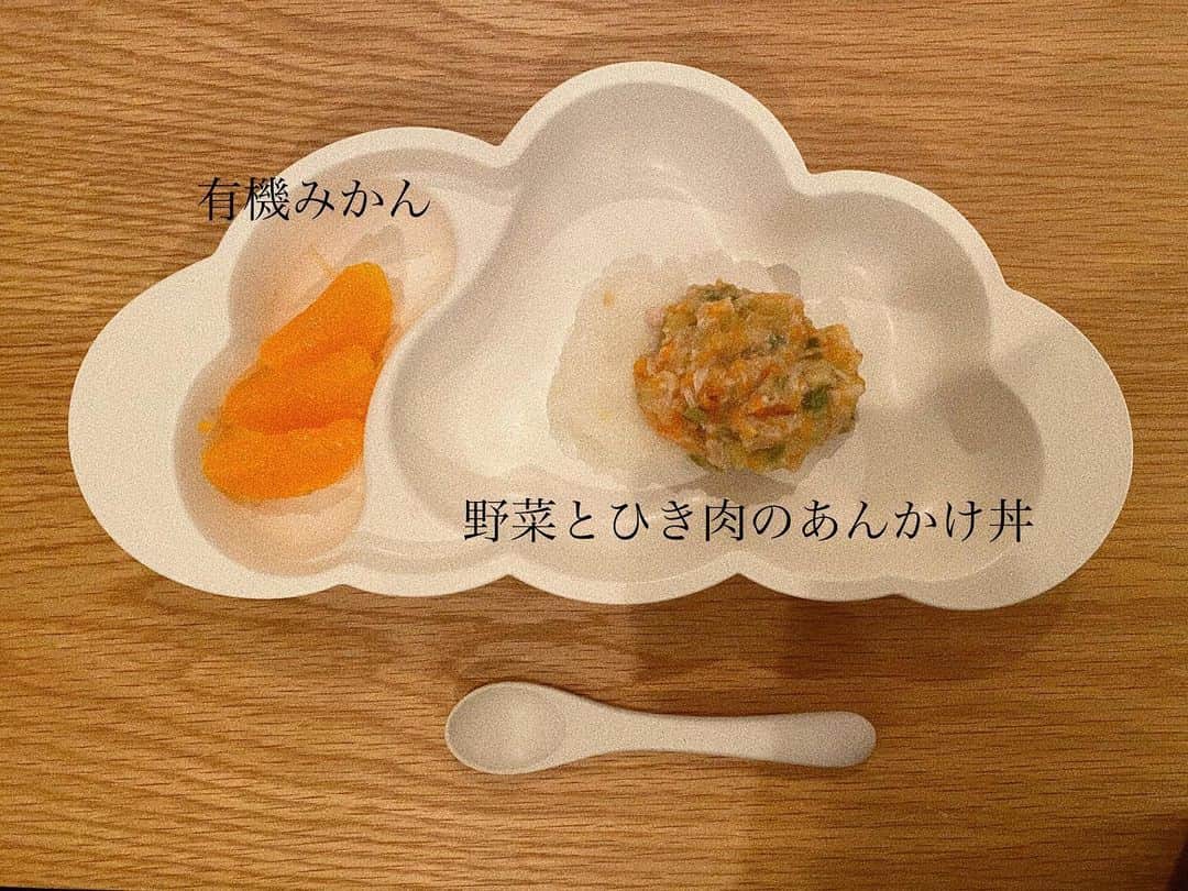 瀬戸サオリさんのインスタグラム写真 - (瀬戸サオリInstagram)「離乳食記録✍🏻 . 大好物の時 目を大きく開いて ニコ〜とパチパチしてて たまらんです👶🏼🍊幸 ＿＿＿＿＿＿＿＿＿＿＿ #離乳食 #離乳食記録 #オーガニック離乳食 #saori_cooking」11月19日 11時19分 - seto_saori
