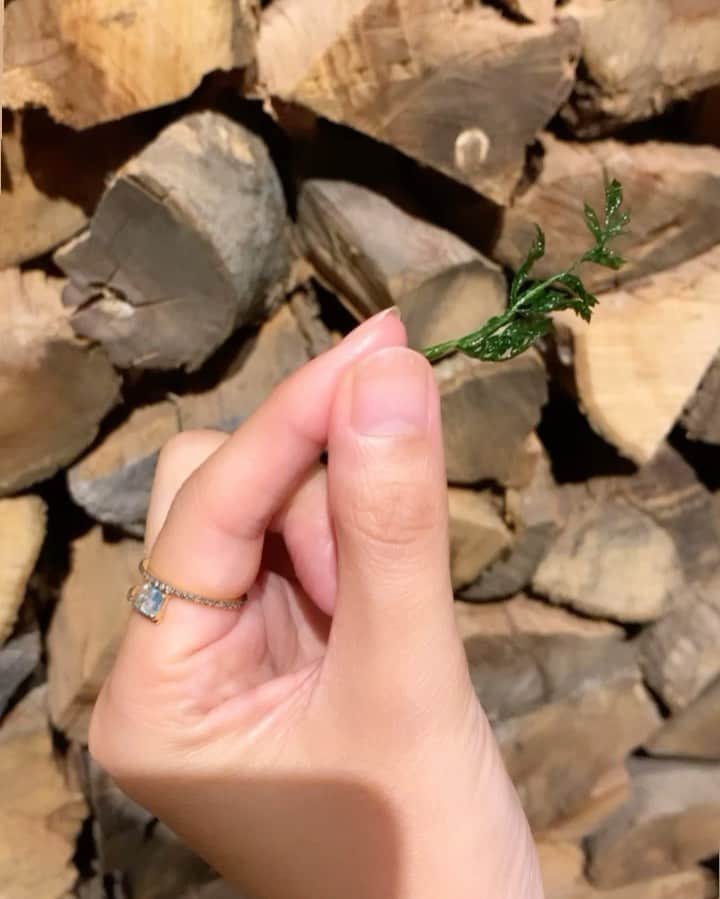 永瀬沙世のグルメインスタ