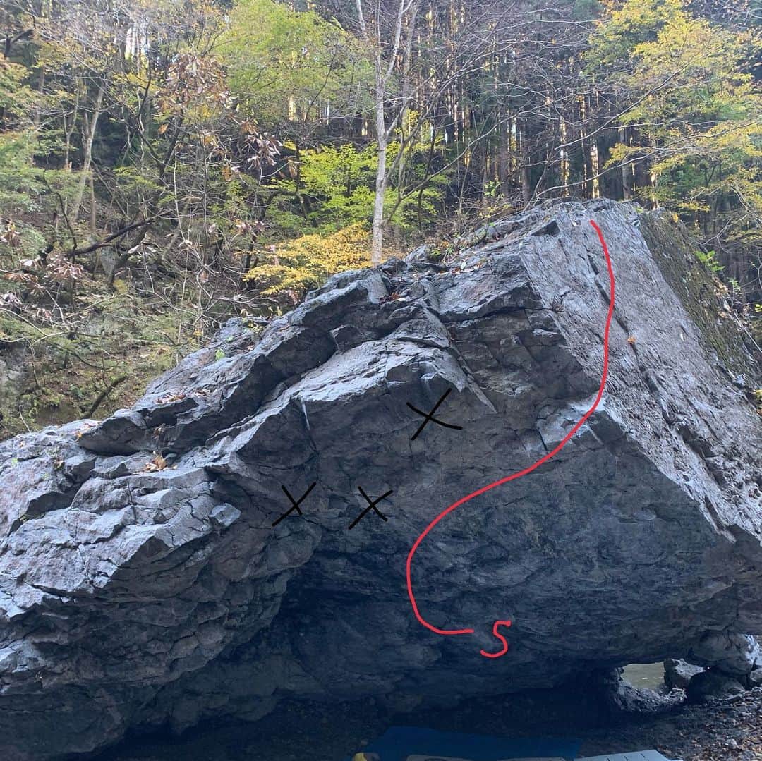 大高伽弥さんのインスタグラム写真 - (大高伽弥Instagram)「先日、奥多摩某所で初登させていただきました🧗‍♀️  初登といっても昨年の大型台風によって傾いてしまった"レインマン"を当時とほぼ同じラインで登りました。 再初登が正しい日本語ですかね🧐 岩全体が150度くらいに傾いているため、以前とは全く違う課題になっています。  グレードは4段−くらいかと🔥 今では消失してしまいましたが、神戸のムタンテとフルチャージを参考にグレーディングしました。 同じような岩質なので、感覚は近いかと。 あくまで個人的な意見なので登られた方は感想いただけると嬉しいです😊  グレードだけでなく内容も最高に面白いです👍 フィジカルとフック力が試される素晴らしい課題です🌟🌟🌟  とても貴重な体験ができたことに感謝🙏  I made new line at Okutama Tokyo🗼  The first ascent is first time for me 🙌 I got many first that day. Thank you for all support 🙏  @tokyopowder @eyecandyworks #緑風堂鍼灸院  #奥多摩 #日原鍾乳洞 #レインマン #ボルダリング #クライミング #bouldering #climbing #rockclimbing #最高 #回転 #動き #thenorthface #instinct #scarpa #いわかける #今週末は #岐阜 #楽しみ #a登録したい #cooljapan」11月19日 11時21分 - kayaowl
