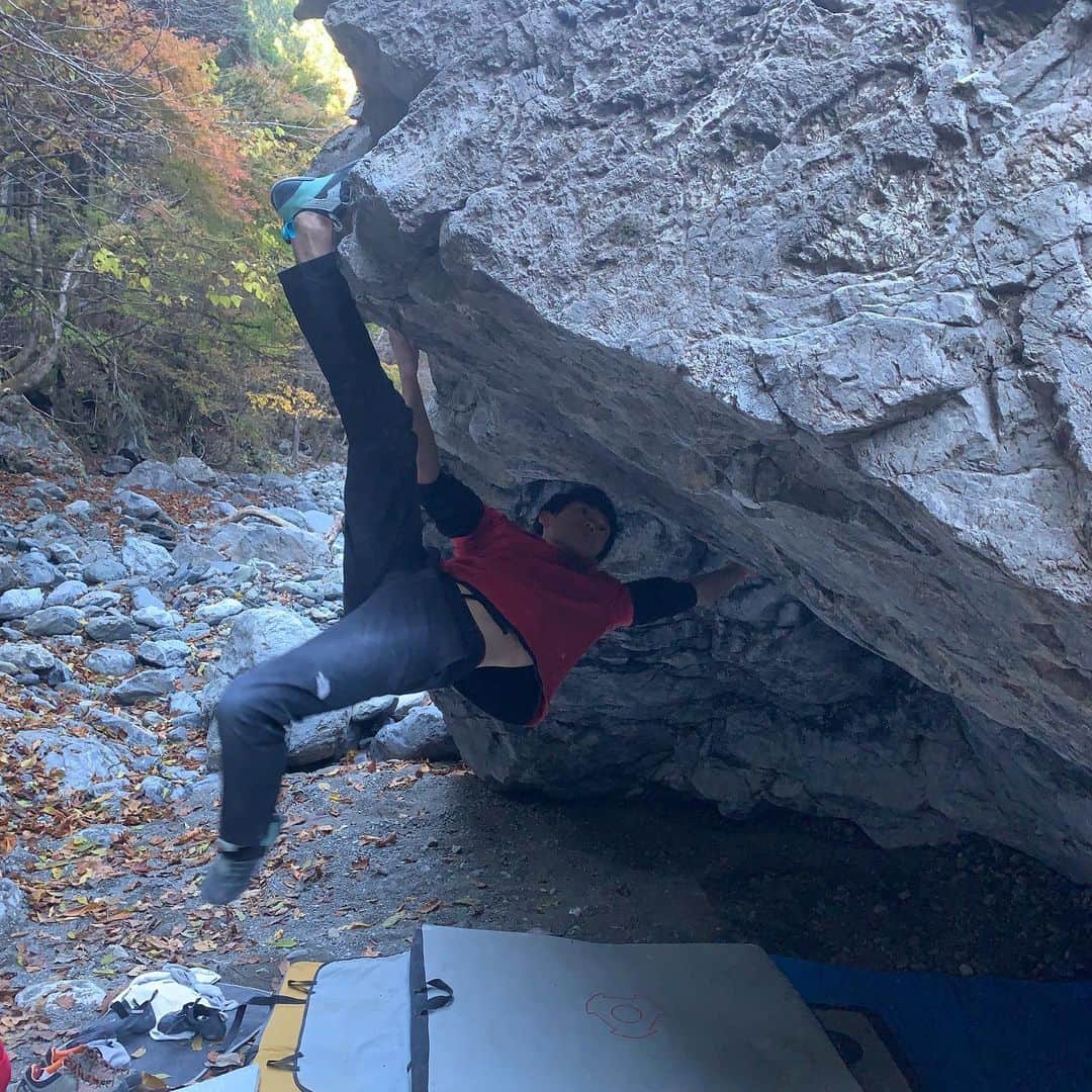 大高伽弥さんのインスタグラム写真 - (大高伽弥Instagram)「先日、奥多摩某所で初登させていただきました🧗‍♀️  初登といっても昨年の大型台風によって傾いてしまった"レインマン"を当時とほぼ同じラインで登りました。 再初登が正しい日本語ですかね🧐 岩全体が150度くらいに傾いているため、以前とは全く違う課題になっています。  グレードは4段−くらいかと🔥 今では消失してしまいましたが、神戸のムタンテとフルチャージを参考にグレーディングしました。 同じような岩質なので、感覚は近いかと。 あくまで個人的な意見なので登られた方は感想いただけると嬉しいです😊  グレードだけでなく内容も最高に面白いです👍 フィジカルとフック力が試される素晴らしい課題です🌟🌟🌟  とても貴重な体験ができたことに感謝🙏  I made new line at Okutama Tokyo🗼  The first ascent is first time for me 🙌 I got many first that day. Thank you for all support 🙏  @tokyopowder @eyecandyworks #緑風堂鍼灸院  #奥多摩 #日原鍾乳洞 #レインマン #ボルダリング #クライミング #bouldering #climbing #rockclimbing #最高 #回転 #動き #thenorthface #instinct #scarpa #いわかける #今週末は #岐阜 #楽しみ #a登録したい #cooljapan」11月19日 11時21分 - kayaowl