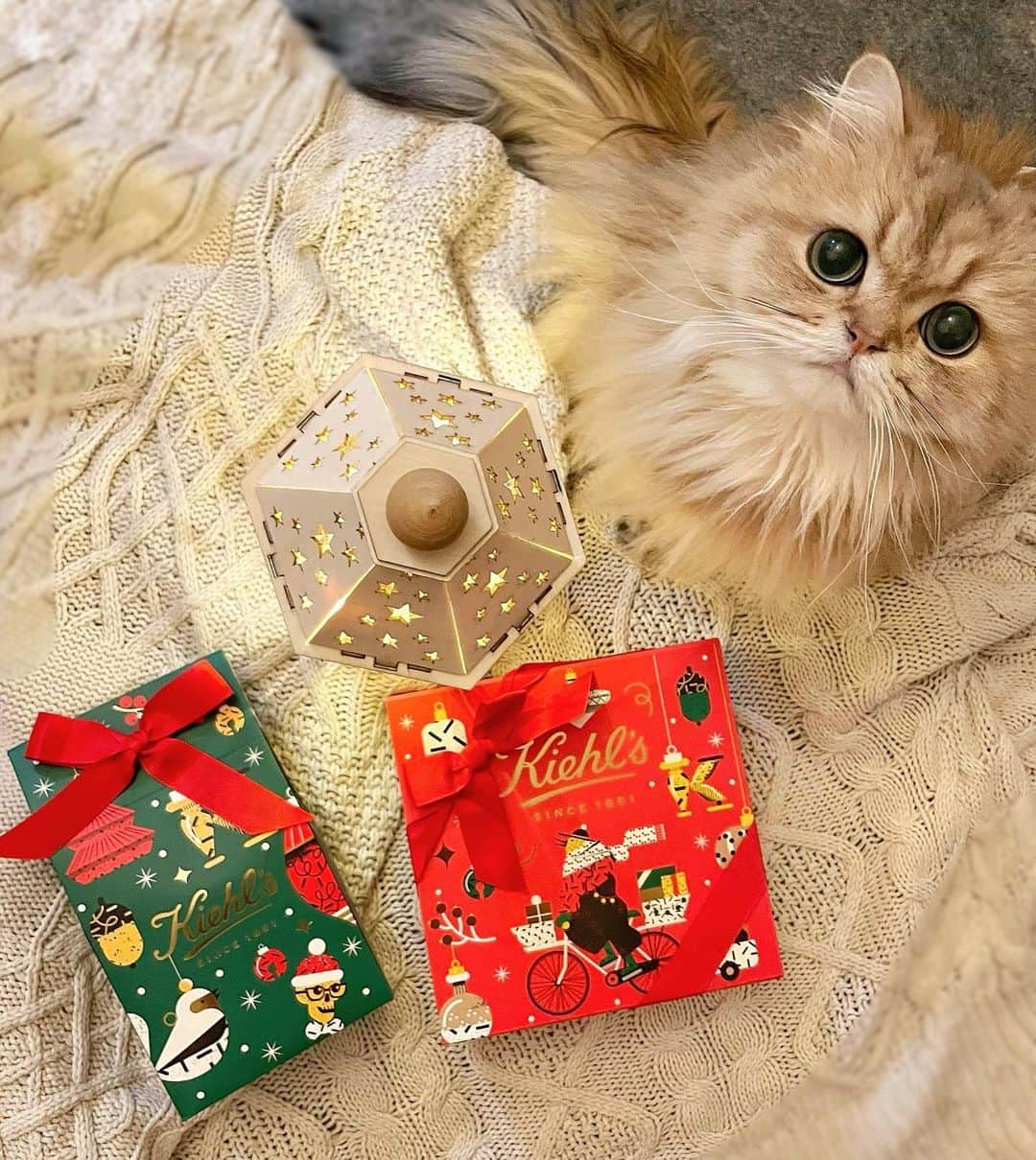佐藤瀬奈さんのインスタグラム写真 - (佐藤瀬奈Instagram)「⠀ 大好きな @kiehlsjp 様からクリスマスギフトが届きました…♥︎♥︎⠀ ⠀ 開ける前から可愛すぎて、子供の頃のプレゼントを開けるワクワク感を思い出したよ👧🎁⠀ ⠀ キールズで大人気のクリームをはじめとするスキンケアやリップなどがたくさん詰まってて、とっても贅沢なBOXでした🎄 私もこの幸せを大切な人におすそ分けしたいなぁ♡⠀ ・ ・ ・ #キールズホリデイ2020  #キールズ#kiehls  #クリスマスプレゼント  #クリスマスギフト #クリスマスコフレ2020」11月19日 11時55分 - senapuu