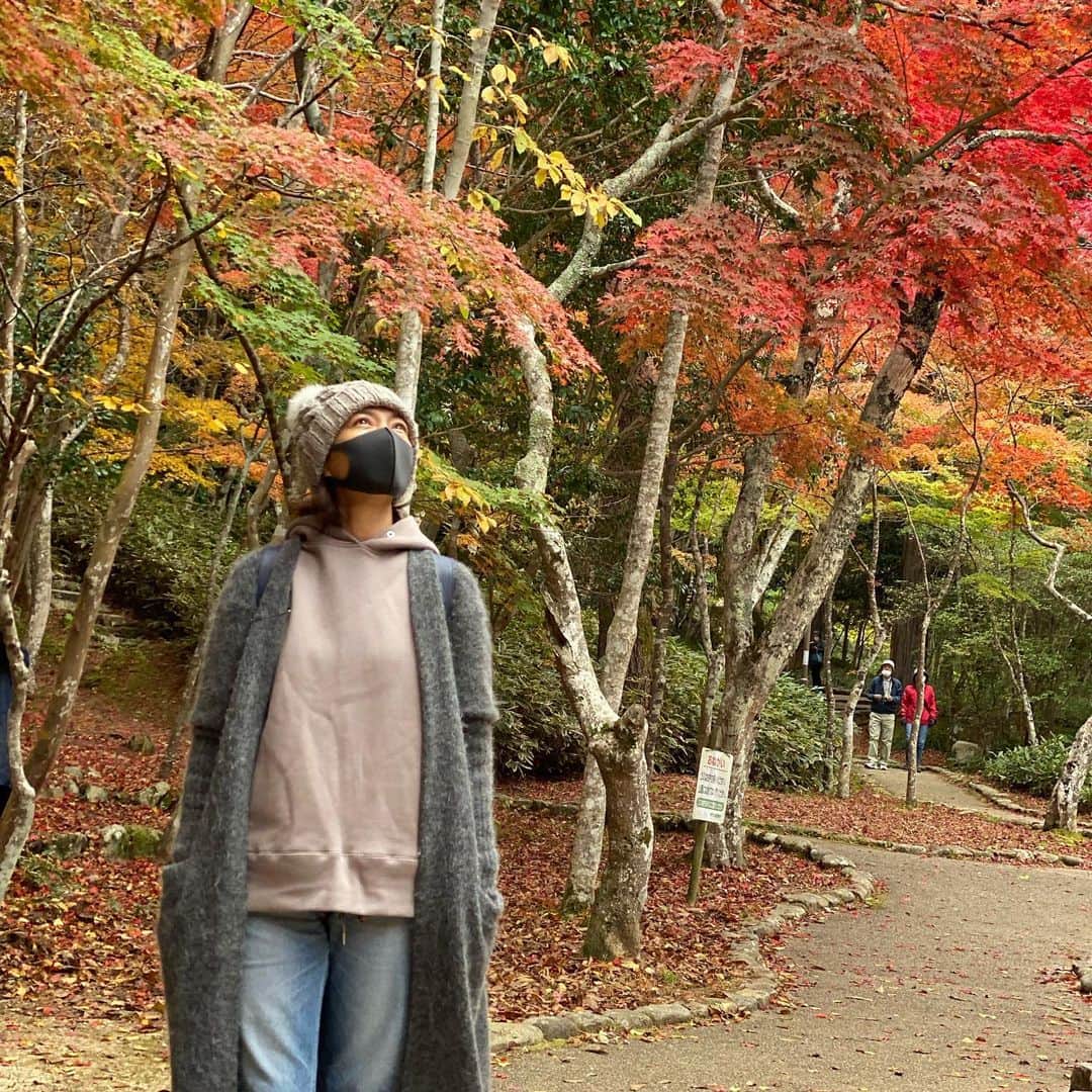 安蘭けいさんのインスタグラム写真 - (安蘭けいInstagram)「大阪公演中に訪れた有馬の瑞宝寺公園の紅葉🍁ちょっと早いかなーと思ったけど、まだ青い葉っぱと赤い葉っぱがいい感じにブレンドされてとても綺麗でした🍁✨ この後はもちのろん、温泉に浸かって帰りました♨️  #有馬温泉 #紅葉 #銀杏の黄色も好き #コロナどっかいけ #お願い」11月19日 11時51分 - toko_aran
