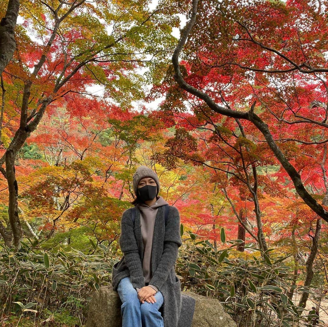 安蘭けいさんのインスタグラム写真 - (安蘭けいInstagram)「大阪公演中に訪れた有馬の瑞宝寺公園の紅葉🍁ちょっと早いかなーと思ったけど、まだ青い葉っぱと赤い葉っぱがいい感じにブレンドされてとても綺麗でした🍁✨ この後はもちのろん、温泉に浸かって帰りました♨️  #有馬温泉 #紅葉 #銀杏の黄色も好き #コロナどっかいけ #お願い」11月19日 11時51分 - toko_aran