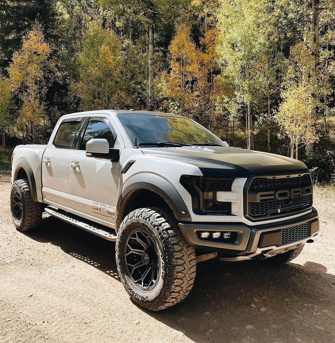 CARLiFESTYLEさんのインスタグラム写真 - (CARLiFESTYLEInstagram)「Ford Raptor sitting on @4playwheels 👍🏽or👎🏽? #carlifestyle #raptor」11月19日 12時14分 - carlifestyle