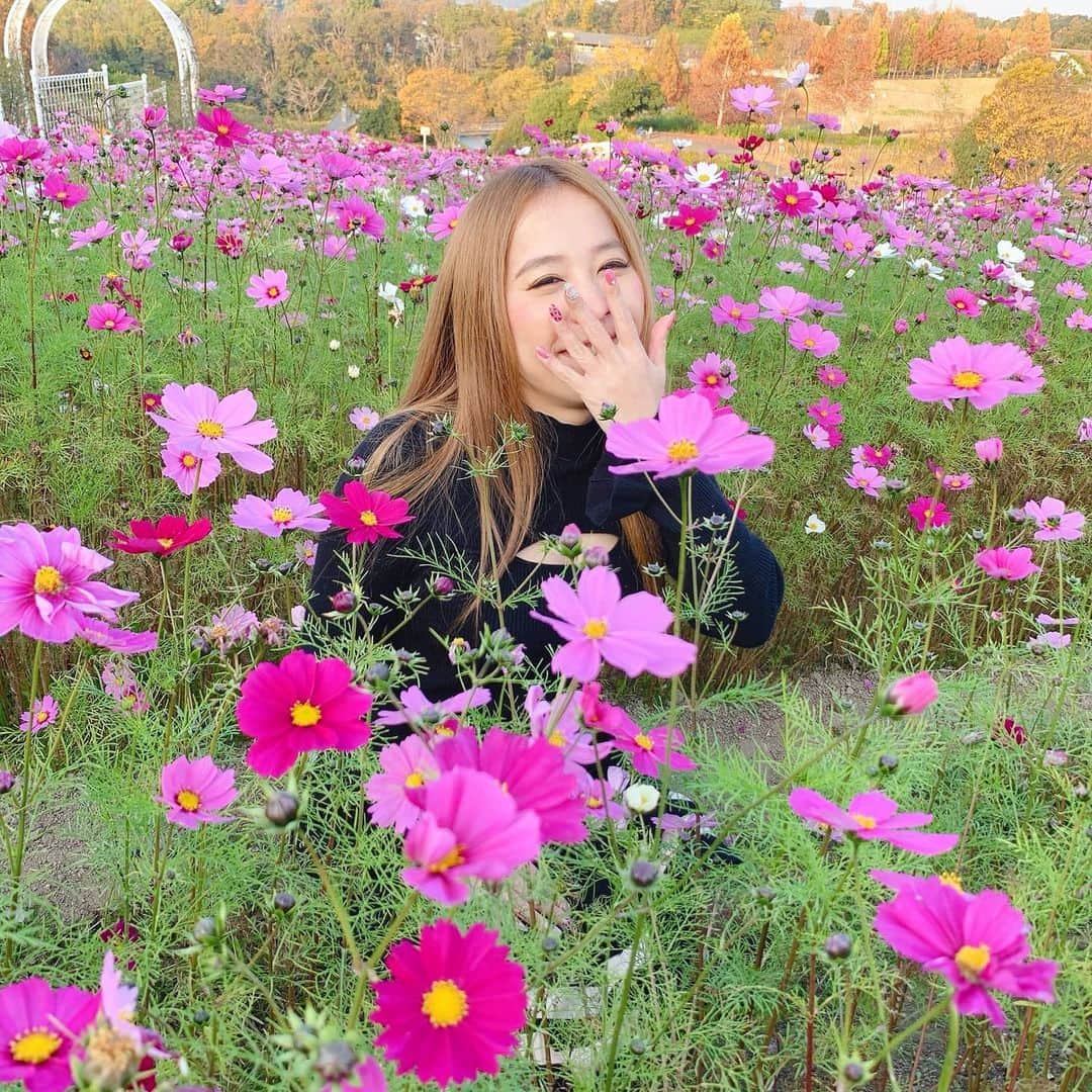 ようようのグルメインスタ