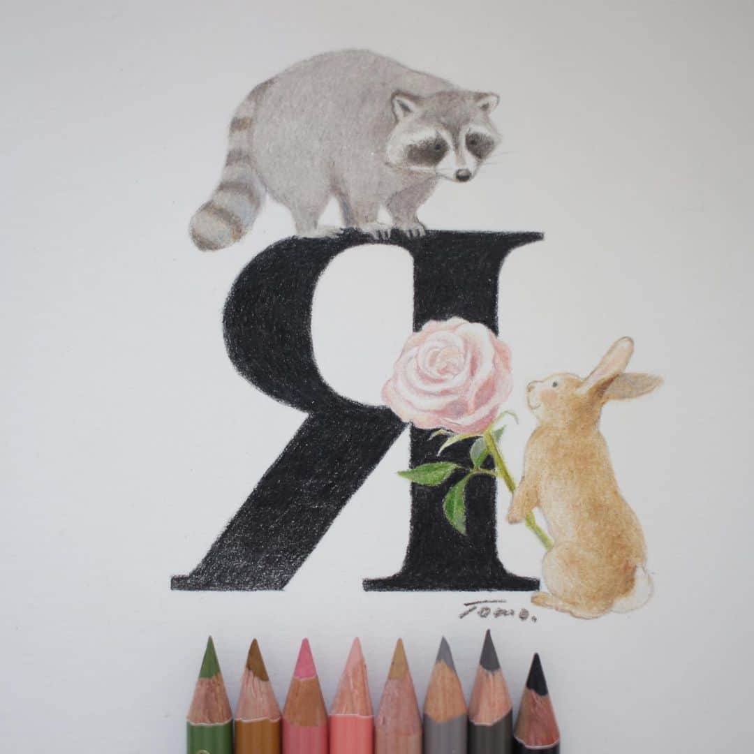 Tomoko Shintaniのインスタグラム：「Letters “R” 🦝🐇🌹 . 付き合ってください . #letters #raccoon #rabbit #rose  #reflection #carandacheluminance  #holbeinartistscoloredpencil #karismacolorpencils」