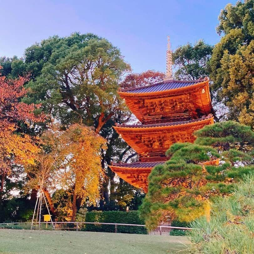 ホテル椿山荘東京のインスタグラム