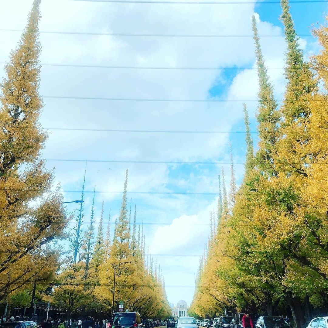 杏子さんのインスタグラム写真 - (杏子Instagram)「. . 秋真っ盛り🍂 . ケド、やたら、アッタカ」11月19日 13時34分 - kyoko_anzu