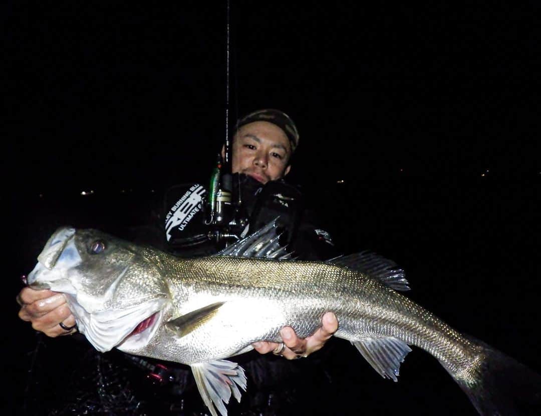 野中泰輔のインスタグラム：「最近の釣果🎣 とりあえず頑張ってます👍  @anglersutopia  @rivalley_fishing  @slp_works_official  #bboytaisuke #釣り #シーバス」