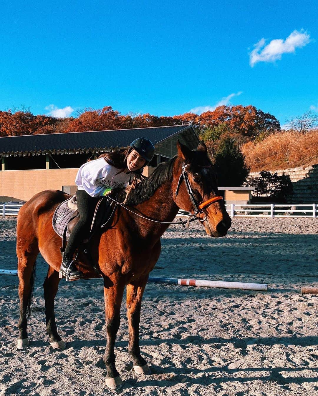 文音さんのインスタグラム写真 - (文音Instagram)「THE BEST DAY EVER!!! #horsebackriding #britishstyle #loveit 私が馬に乗れるようになったのは 映画のお陰。 佐々部組のお陰。 ねぇ監督🕊吉報がありますよ✨🕊」11月19日 14時06分 - ayanestagram_official