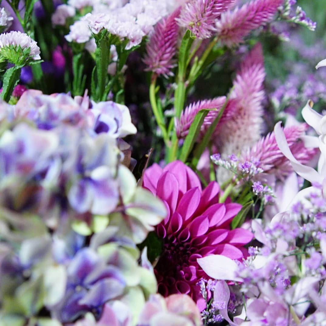 前田有紀さんのインスタグラム写真 - (前田有紀Instagram)「先日記念日のブーケをお届けしました。とても綺麗な紫陽花があり、ダリアがひょっこり。　#standardflower_op のハッシュタグで素敵な投稿していただきありがとうございます。ふとしたときに新しい投稿見るのが楽しみです。 小田急ポイントカードの公式Webコラムは11月25日に更新です。 @standardflower_op  のプロフィールまたは以下のURLからどうぞ♪  公式Webコラム：https://www.odakyu-card.jp/news/  #standardflower_op #standardflower #stayhomewithflowers #おうち時間 #花でつなぐ小田急 #花 #花のある暮らし #花が好き #フラワーアレンジメント #花好きな人と繋がりたい #ヒビヤカダン #ヒビヤカダンスタイル #ルコネル #hibiyakadan #hibiyakadanstyle #reconnel #ハナノヒ#小田急線 #小田急ポイントカード #opカード」11月19日 14時32分 - yukimaeda0117