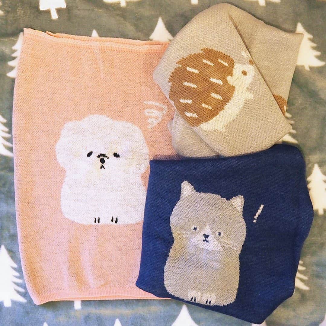 ワンズテラスのグルメインスタ