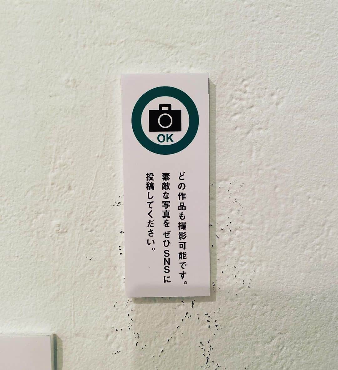 加藤啓さんのインスタグラム写真 - (加藤啓Instagram)「『夜から猫になる』 展示会場、渋谷コンシール。  迷う方けっこういらっしゃるみたいですみません。  この雀荘のビルの4階です。  展示作品は、どれも撮影OKです。」11月19日 14時46分 - kato_kei
