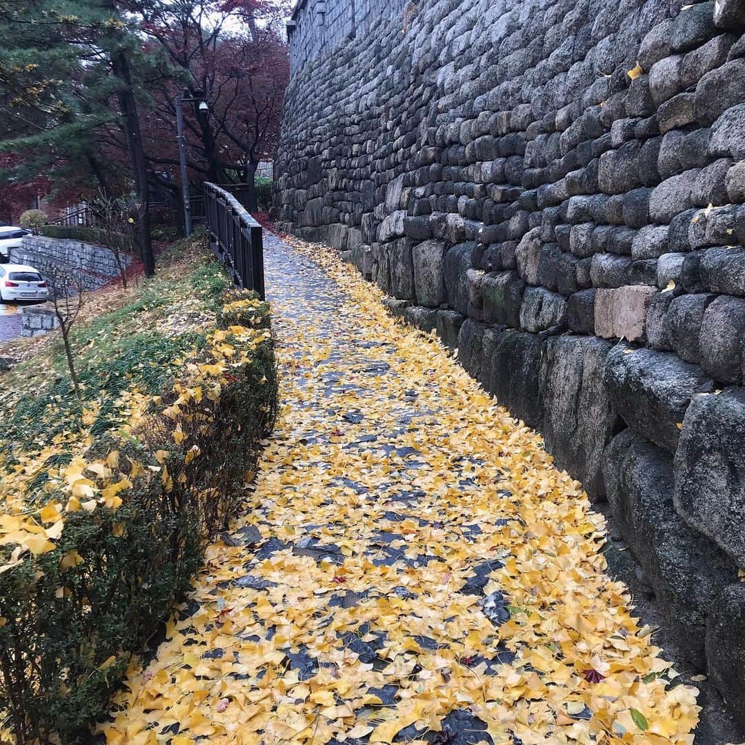 ペ・ミンジョンさんのインスタグラム写真 - (ペ・ミンジョンInstagram)「끝나가는 가을속 빨간길과 노란길」11月19日 14時58分 - baeminjeong_