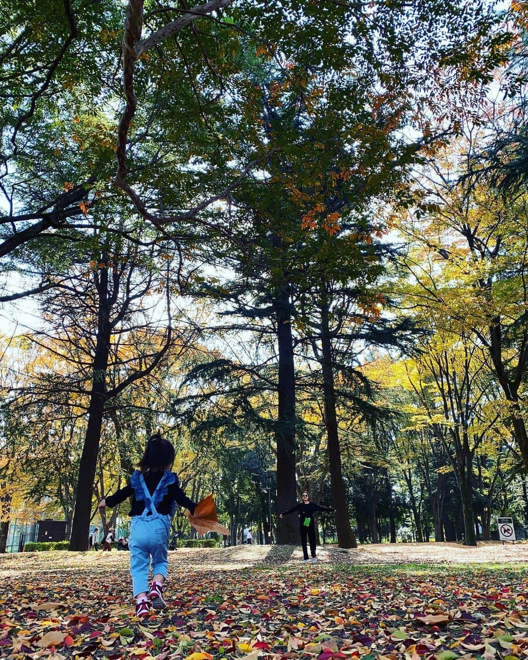 中越典子さんのインスタグラム写真 - (中越典子Instagram)「大きな葉っぱ、みーつけた  さぁ！走れー」11月19日 14時55分 - nakagoshi_noriko.official