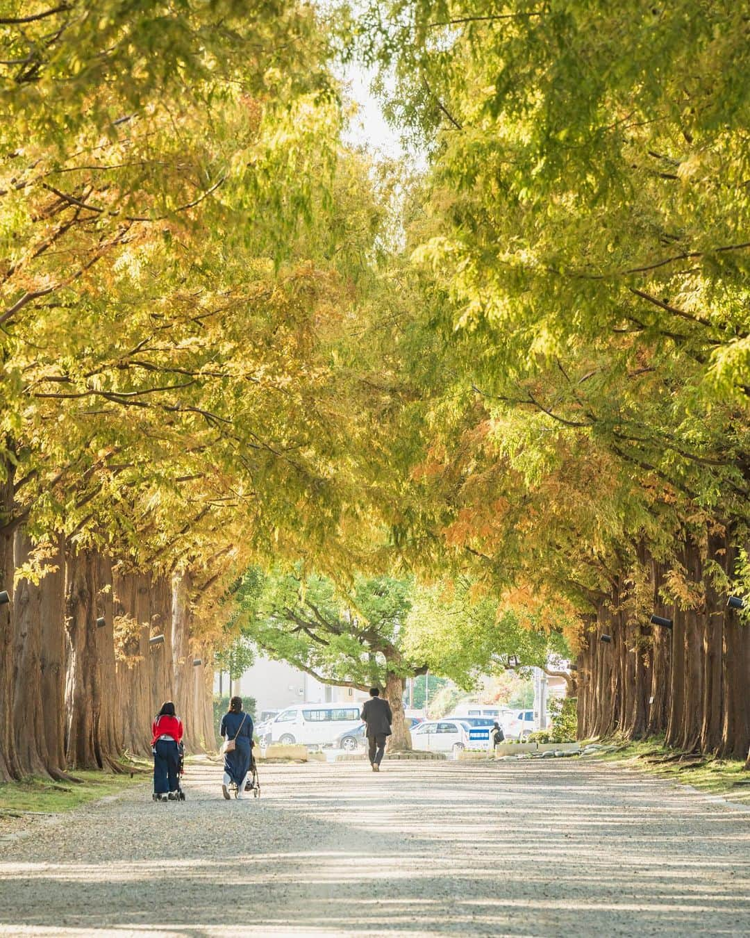 平塚市のインスタグラム