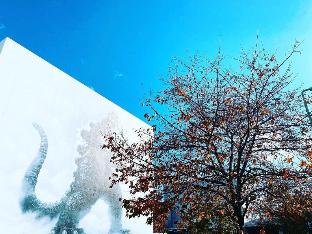 大澤有紗のインスタグラム：「お天気つるつる☀️ ここにくると色んなこと考えるんだな🥸 色んな思いが掻き立てられたり、反省したり、詰まってる。 #青空 #太陽 #風 #ぐるんぐるんにまかれる　#なんか全てにぐっとくる　#晴天」