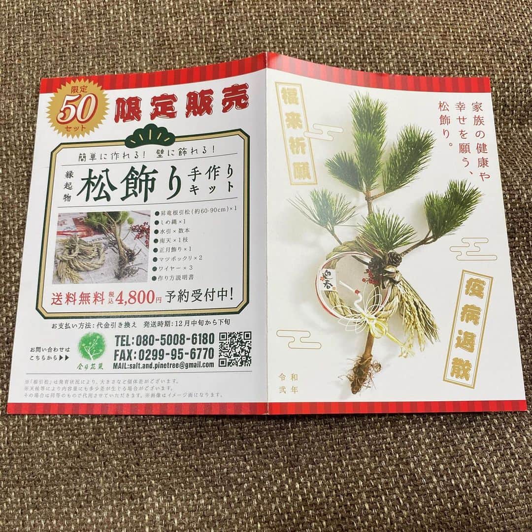 青木剛さんのインスタグラム写真 - (青木剛Instagram)「以前から『松』に興味があり、この度、ご縁があって、収穫のお手伝いをさせていただきました🙏@salt.and.pinetree  鹿嶋市が日本で有数の松の産地ということは、知りませんでした！ 収穫の現場でどんな方が携わられて、どういう作業が行われているのかを実際に体験することができて、貴重な経験でした。 『松』は、長い歳月をかけてようやく収穫になり、作業もとても大変なことなのだと実感しました。 『長寿』と『健康』の象徴であり、縁起物として扱われているそうです！  この度は、ありがとうございました！ #鹿嶋市 #全日花菜 #縁起物 #松飾り #福来祈願 #疫病退散 松飾りの限定販売もあるみたいです！ (写真６枚目)」11月19日 15時39分 - takeshiaoki15