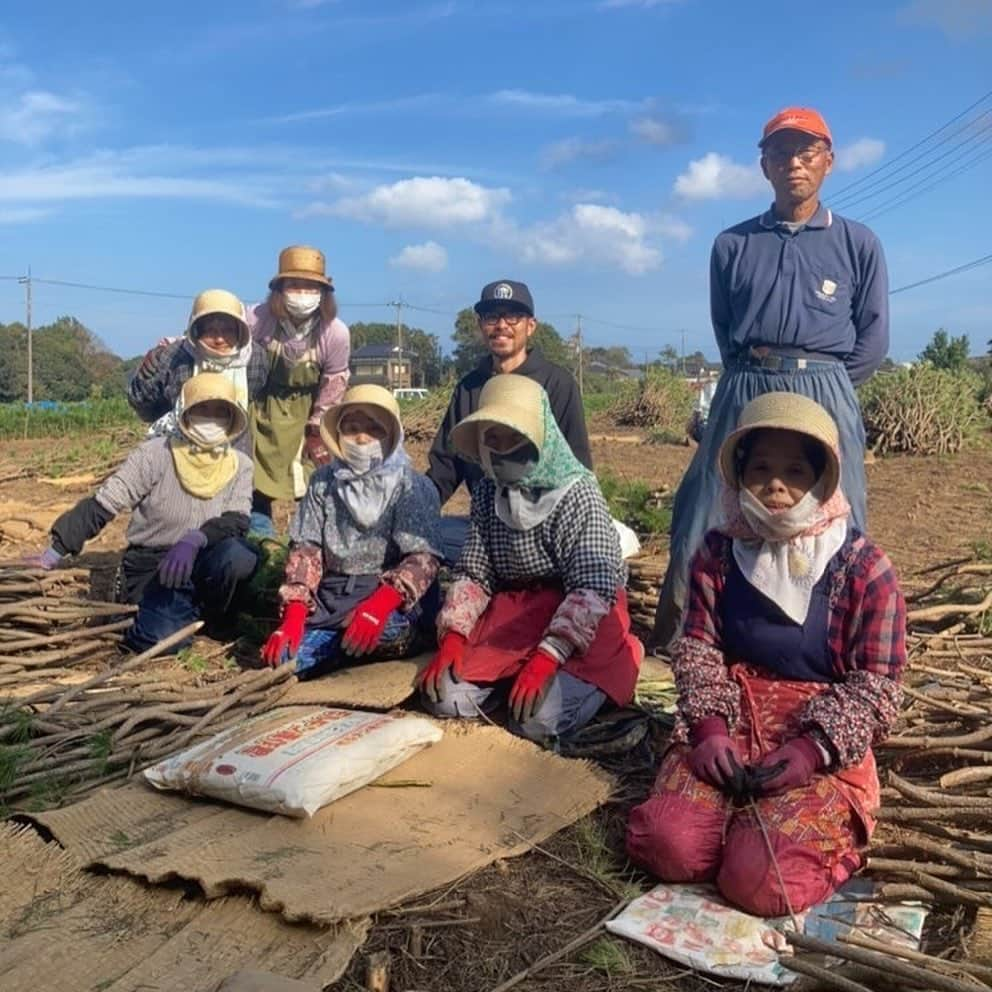 青木剛さんのインスタグラム写真 - (青木剛Instagram)「以前から『松』に興味があり、この度、ご縁があって、収穫のお手伝いをさせていただきました🙏@salt.and.pinetree  鹿嶋市が日本で有数の松の産地ということは、知りませんでした！ 収穫の現場でどんな方が携わられて、どういう作業が行われているのかを実際に体験することができて、貴重な経験でした。 『松』は、長い歳月をかけてようやく収穫になり、作業もとても大変なことなのだと実感しました。 『長寿』と『健康』の象徴であり、縁起物として扱われているそうです！  この度は、ありがとうございました！ #鹿嶋市 #全日花菜 #縁起物 #松飾り #福来祈願 #疫病退散 松飾りの限定販売もあるみたいです！ (写真６枚目)」11月19日 15時39分 - takeshiaoki15