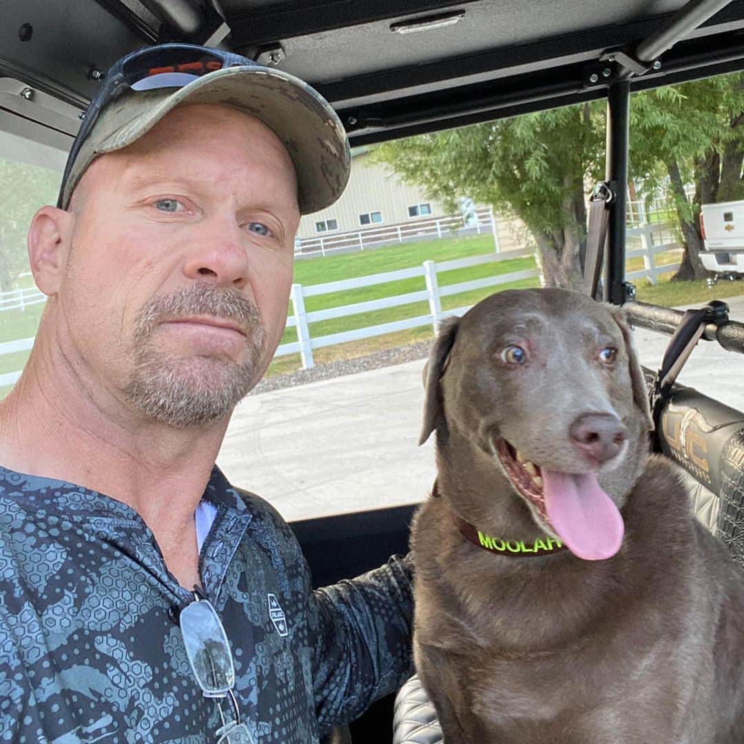 ストーン・コールド・スティーブ・オースチンのインスタグラム：「Throwback to a few months ago with Moolah getting ready for a ride.  Yesterday Moolah blew out her right ACL. Trying to get her into surgery ASAP. She blew her left ACL last year. #dog #doglife #tbt」