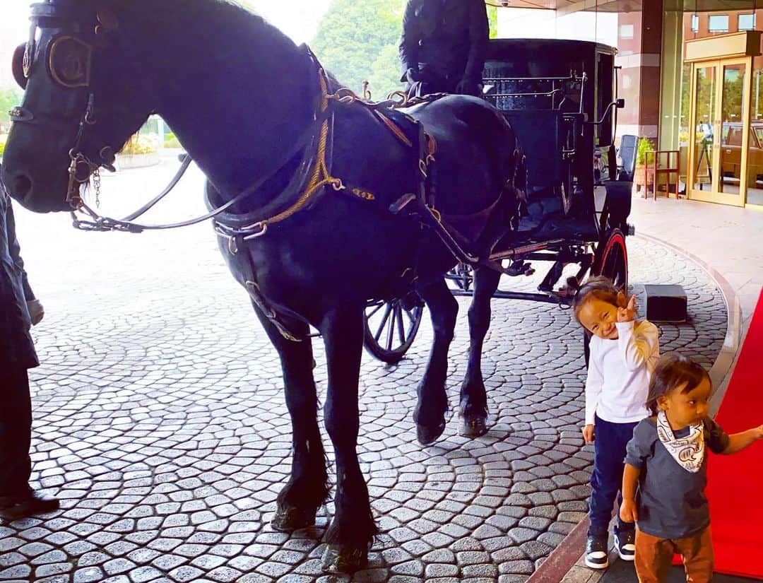 平山美香のインスタグラム：「2020 秋 🎃 東京 ディズニーから都内のホテルに移動して、いつも集まってホームパーティしてたメンバーで集まって、いつもの様にウダウダしてたら、サプライズBDしてくれた❤️皆んな、有難う❤️❤️❤️ 翌日は長男が１歳までお世話になっていたベビーシッターで、今は保育園の園長先生の @vn_nvryoryo6 と私がお世話になっていたヘアメイクの @shukiko_portfolio とランチ❤️ お料理出てくるまで知育❤️ からの、 @yelloshoes_official サロンで @kkkkeeeeiiiiya とお買い物❤️ 写真撮れずだったけど、 @ayastella_ ともチラッとお茶出来た❤️  で、神戸戻ったら、 @mikajimbox が会いに来てくれた❤️ 皆んなに又直ぐ会いたいよ〜❤️❤️❤️❤️❤️ #家族旅行 #東京 #友達 #friends #誕生日 #birthday #YELLO」
