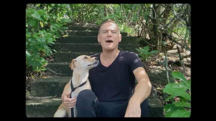 ブライアン・アダムスのインスタグラム：「My appearance with @melaniecmusic (and Peaches) for the @bbcradio2 @childreninneed charity single - out now. #childreninneed #stopcryingyourheartout #peachesthepotcake」