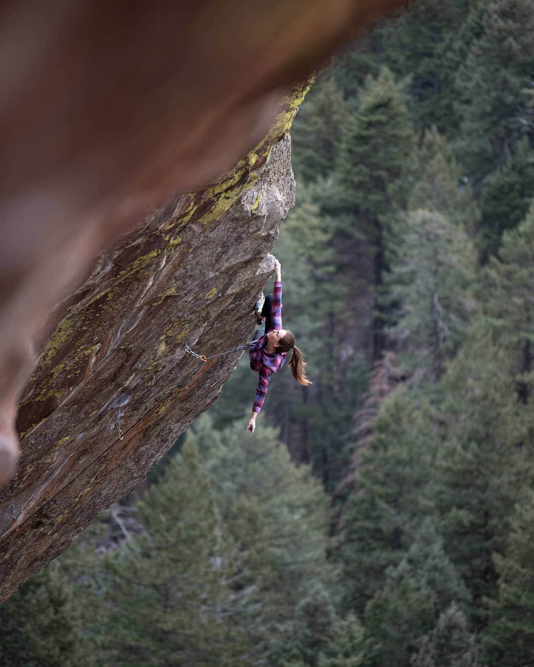 ペイジー・クラッセンのインスタグラム：「Playing 🤸‍♀️ in the forest 🌲 on moody ❄ winter days 💜  TGV  5.13c  Industrial Wall 📸 by @arjandekock  @eddiebauer @lasportivana @maximropes @physivantage」
