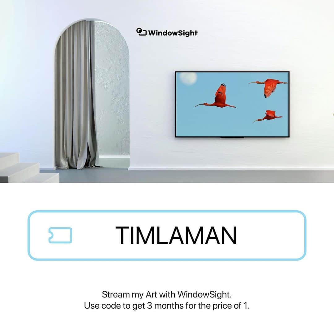 Tim Lamanさんのインスタグラム写真 - (Tim LamanInstagram)「@WindowSight, a new app for displaying high quality art from your phone to your smart TV has just launched.  No ads, just beautiful images on your TV.  I am one of the artists involved, along with several of my NatGeo photographer colleagues like @BabakTafreshi @stevewinterphoto @ChristianZiegler @geosteinmetz and others.  Instead of just looking at your favorite images on your small smartphone screen, you can now turn your blank TV on your wall into a piece of art! Check it out and when you create an account, use my invite code “TIMLAMAN” to get 3 months for the price of one.  Just go to www.WindowSight.com. #GetTheBigPicture.」11月20日 1時37分 - timlaman