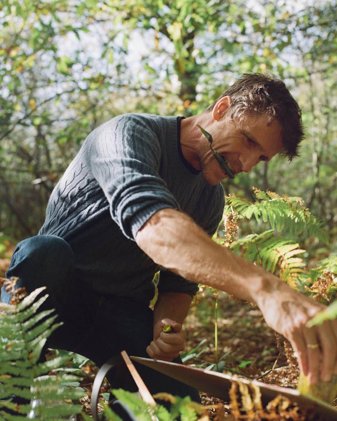 MR PORTERのインスタグラム：「“I’ve always been really into nature,” says Mr @andrew_gifford_artist. “But as an artist I’ve kind of always avoided it.” Ahead of his remarkable new exhibition of tree paintings, we headed into the forest with the man who has reinvigorated the long tradition of landscape painting. Mr Gifford wore the new capsule by @loropianaofficial, which is exclusive to MR PORTER. “I’ve always loved blue,” he says. “I can even find blues in the woods.” Tap the link in bio to read the full interview. #mrporterjournal」