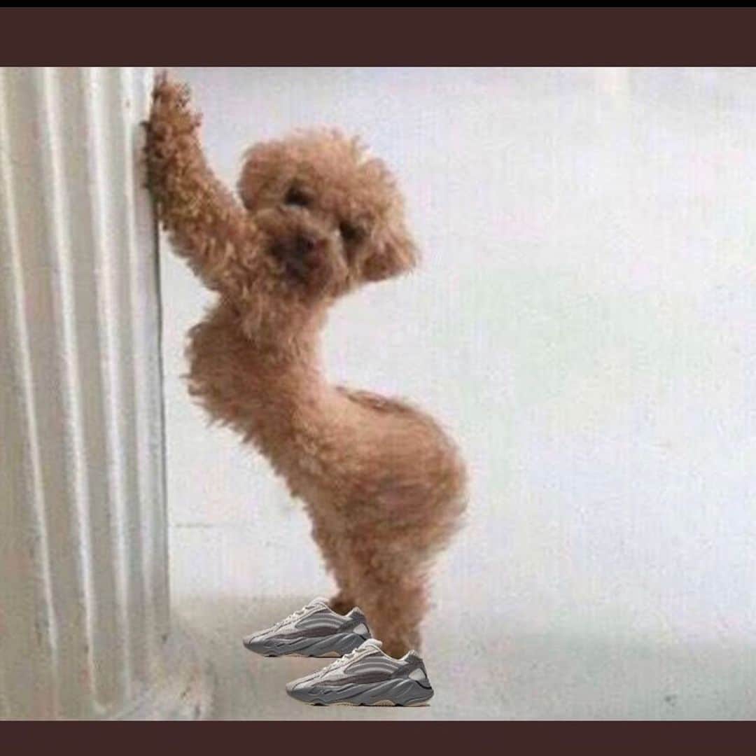 リル・デュヴァルのインスタグラム：「This how they gon be in Orlando for classic this weekend 😂😂😂😂😂😂😂 I might slide」