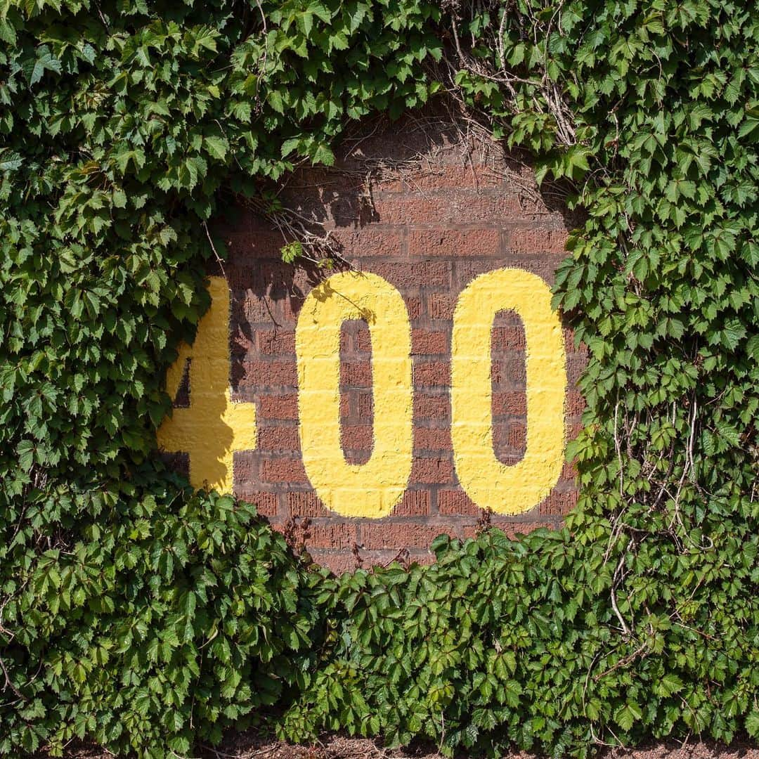 シカゴ・カブスさんのインスタグラム写真 - (シカゴ・カブスInstagram)「Wrigley Field has been designated as a National Historic Landmark by @usinterior, affirming its significance to the city of Chicago, professional sports and American history and culture. A Hall of Fame recognition that will preserve the Friendly Confines for generations of fans to come.」11月20日 2時15分 - cubs