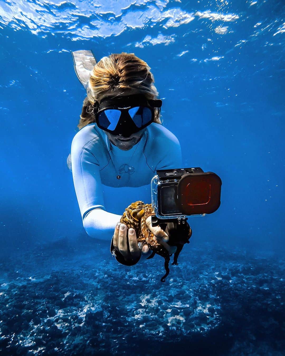 PolarProさんのインスタグラム写真 - (PolarProInstagram)「Capture vibrant colors on your next dive adventure with the DiveMaster 3-pack for #HERO9 (*8 legged friend not included 🐙)」11月20日 2時27分 - polarpro