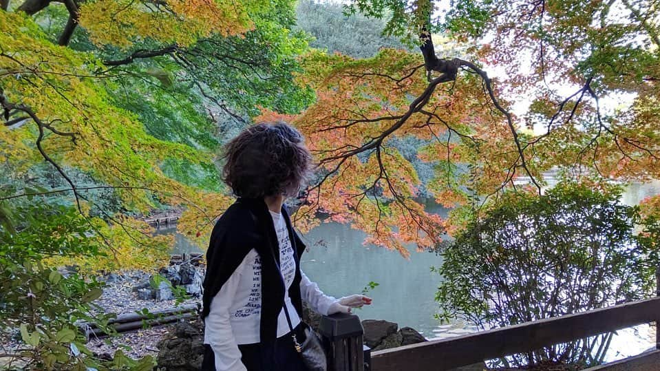 安奈淳さんのインスタグラム写真 - (安奈淳Instagram)「お天気が良かったので、近くの公園へ〜紅葉が素晴らしい❗️パリの郊外みたい〜  #秋晴れ #紅葉 #パリみたい #安奈淳」11月19日 17時35分 - annajun0729