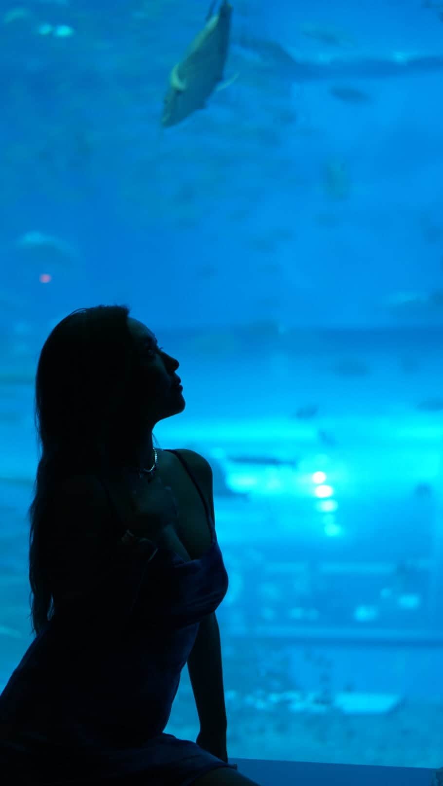 桃瀬とものインスタグラム：「💙🐠🐳🐬🐚🧜🏼‍♀️💙 この曲が永遠と頭の中でリピートされてる~♪  #リトルマーメイド #海行きたい #美海水族館 #海外旅行 #沖縄 #沖縄旅行 #女社長 #すすきの #六本木 #キャバ嬢」
