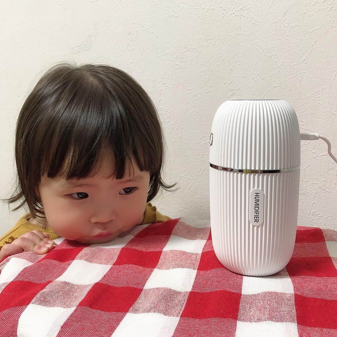 amigo.amigo.5205622のインスタグラム