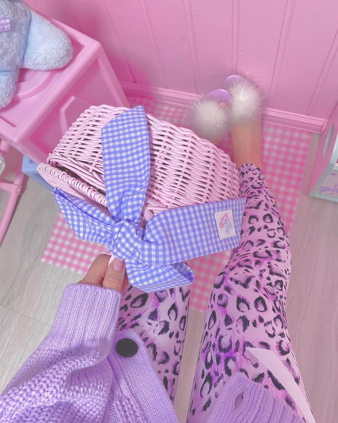 まろんちゃんのインスタグラム