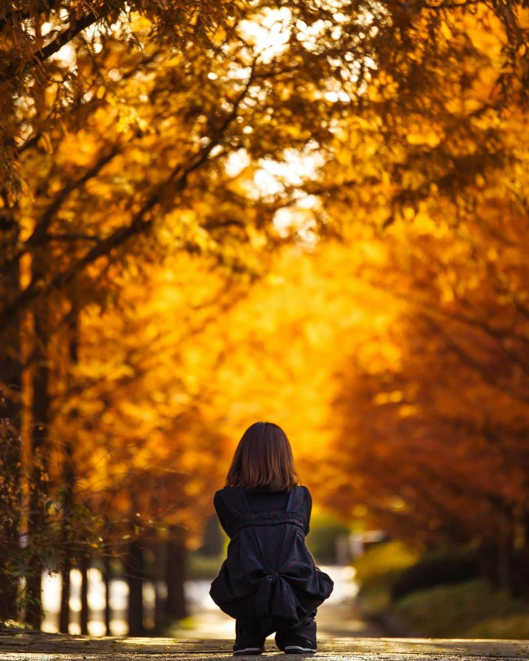 Takefumi Tezkaのインスタグラム：「✴︎秋色🍁 ✴︎ ✴︎ ✴︎兵庫県」