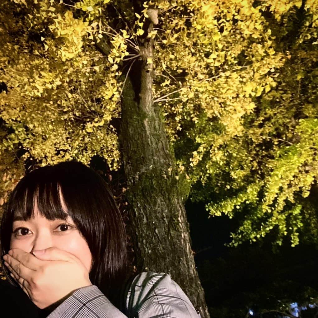 深瀬智聖のインスタグラム：「全然さむくなーーい。  #2020秋  #11月 #銀杏 #紅葉」