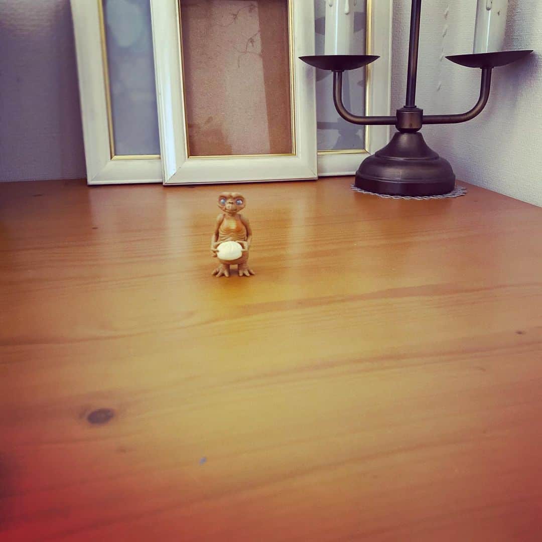 緒月遠麻さんのインスタグラム写真 - (緒月遠麻Instagram)「☺︎ 花もいいけど 豚まんも似合う。  #et  #551 #ガチャガチャ   かわぃ♡  #結局趣味丸出しのインスタ投稿に戻る」11月19日 18時12分 - toma_ozuki